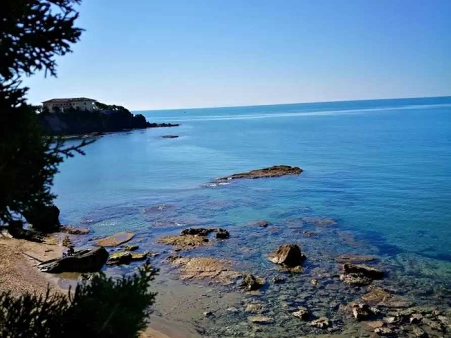 Immagine 18 di Appartamento in vendita  a Rosignano Marittimo