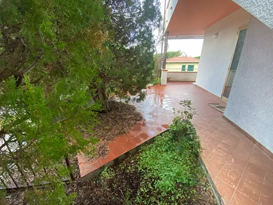 Immagine 5 di Appartamento in vendita  a Rosignano Marittimo