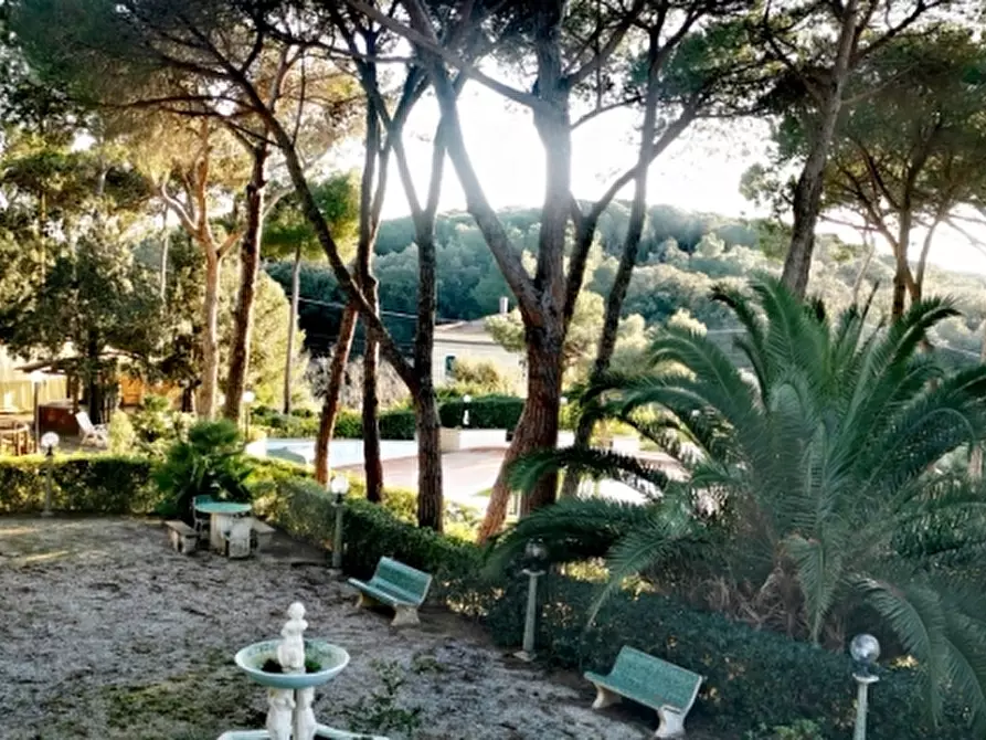 Immagine 26 di Appartamento in vendita  in Via Aurelia a Rosignano Marittimo