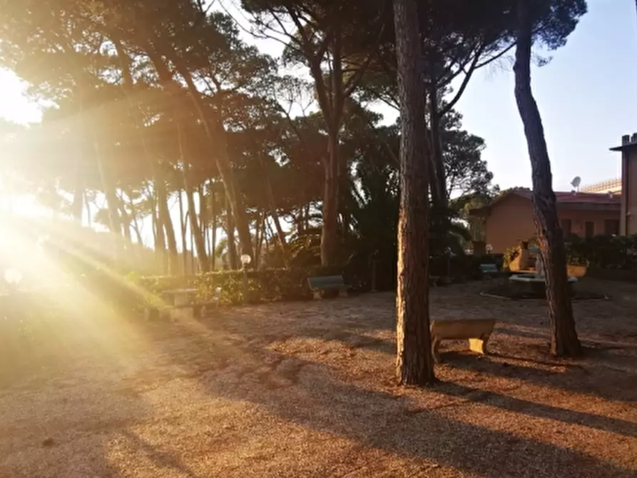 Immagine 11 di Appartamento in vendita  in Via Aurelia a Rosignano Marittimo