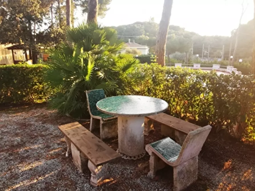 Immagine 12 di Appartamento in vendita  in Via Aurelia a Rosignano Marittimo