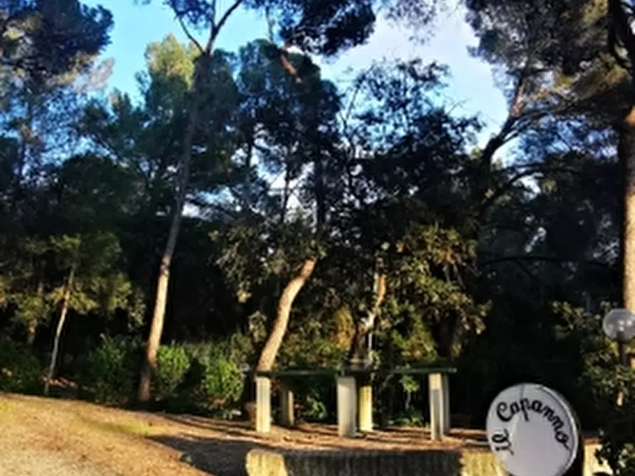 Immagine 13 di Appartamento in vendita  in Via Aurelia a Rosignano Marittimo