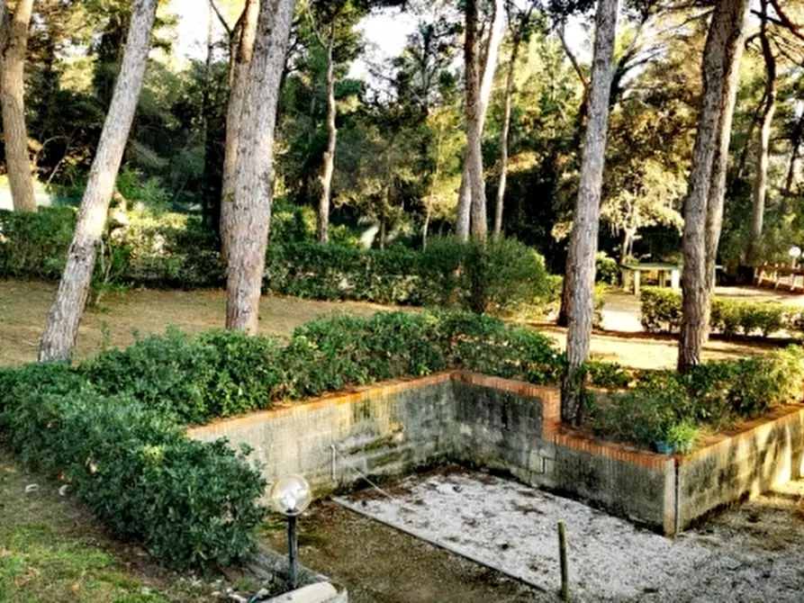 Immagine 16 di Appartamento in vendita  in Via Aurelia a Rosignano Marittimo