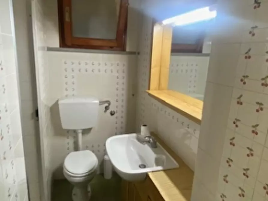 Immagine 18 di Appartamento in vendita  a Rosignano Marittimo