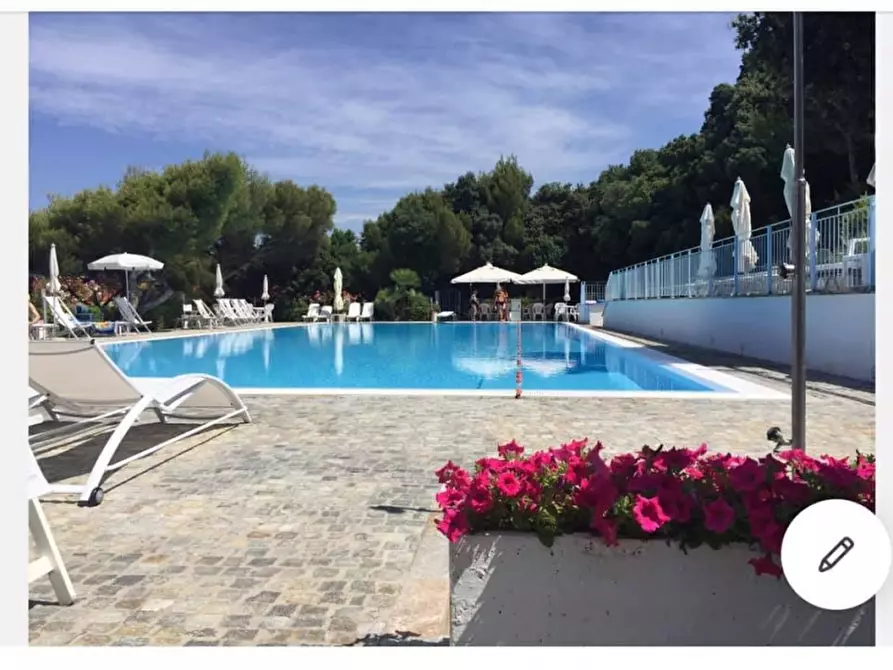 Immagine 12 di Appartamento in vendita  a Rosignano Marittimo