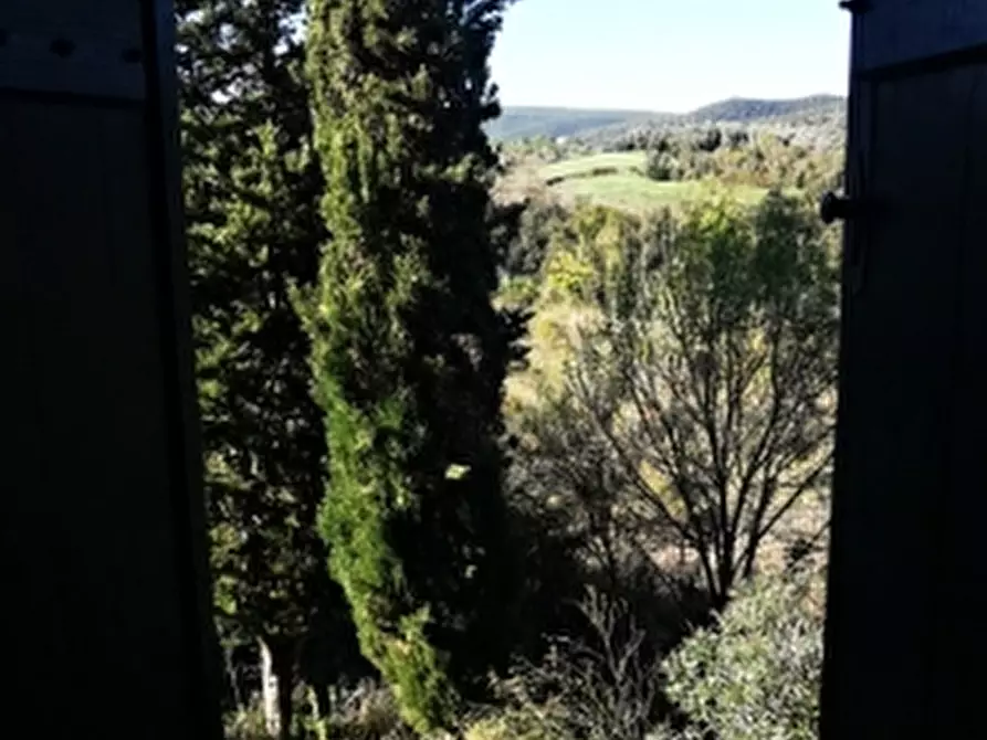 Immagine 3 di Casa colonica in vendita  a Rosignano Marittimo