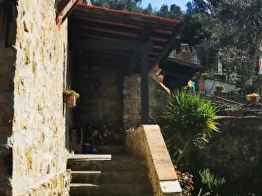 Immagine 21 di Casa colonica in vendita  a Rosignano Marittimo