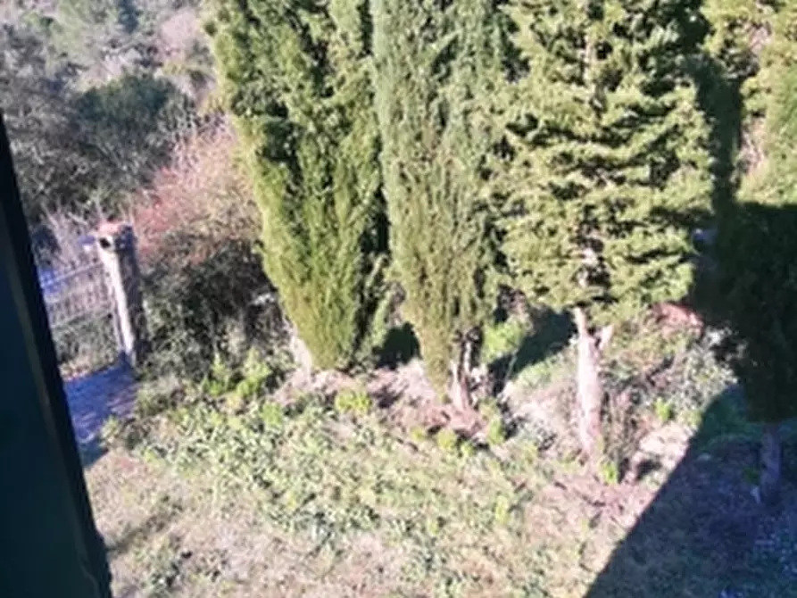 Immagine 22 di Casa colonica in vendita  a Rosignano Marittimo