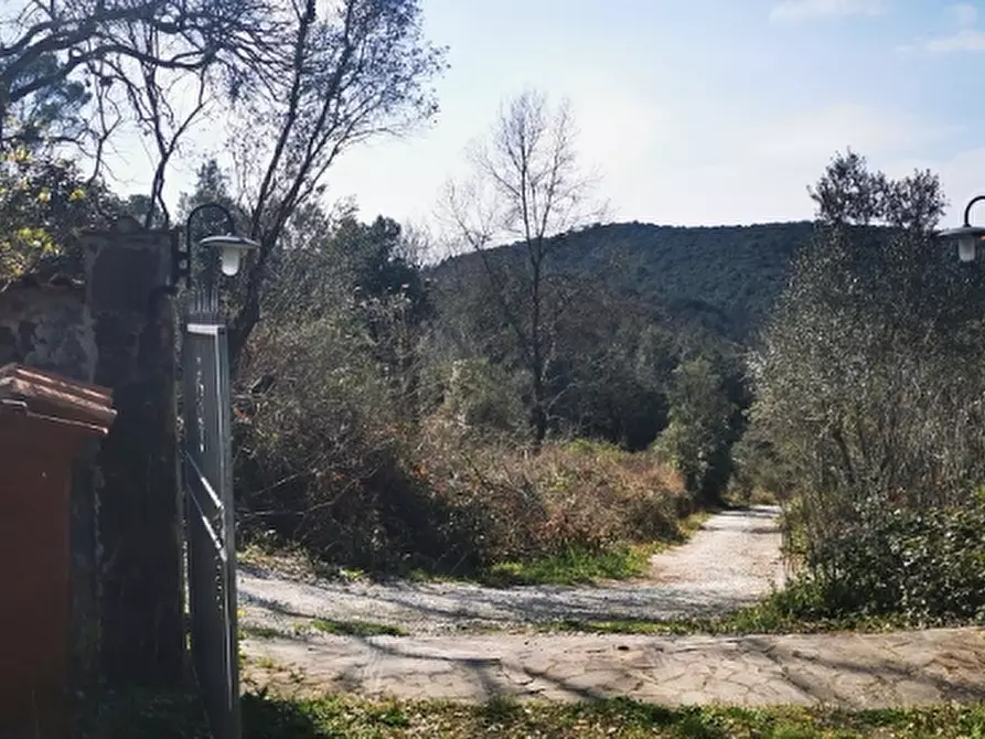 Immagine 23 di Casa colonica in vendita  a Rosignano Marittimo