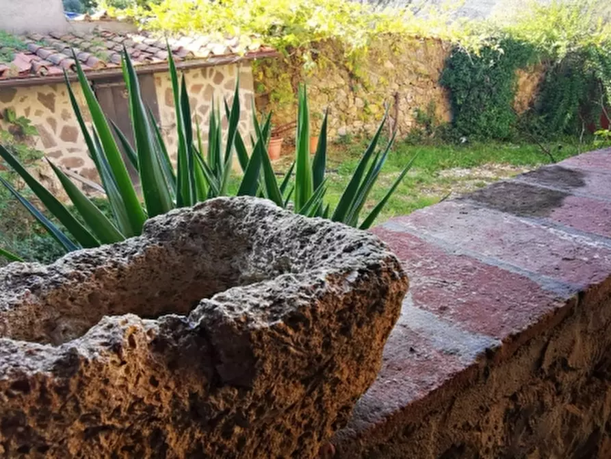 Immagine 6 di Casa colonica in vendita  a Rosignano Marittimo