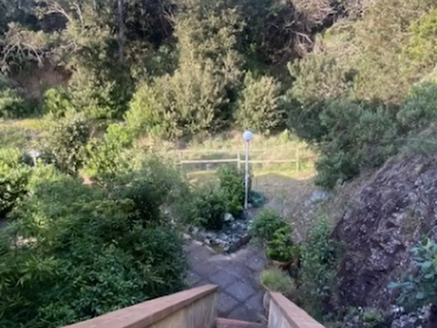 Immagine 10 di Appartamento in vendita  a Rosignano Marittimo