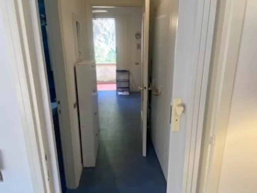 Immagine 12 di Appartamento in vendita  a Rosignano Marittimo