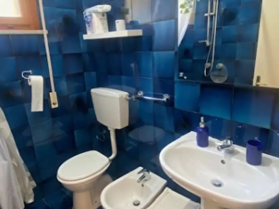 Immagine 14 di Appartamento in vendita  a Rosignano Marittimo