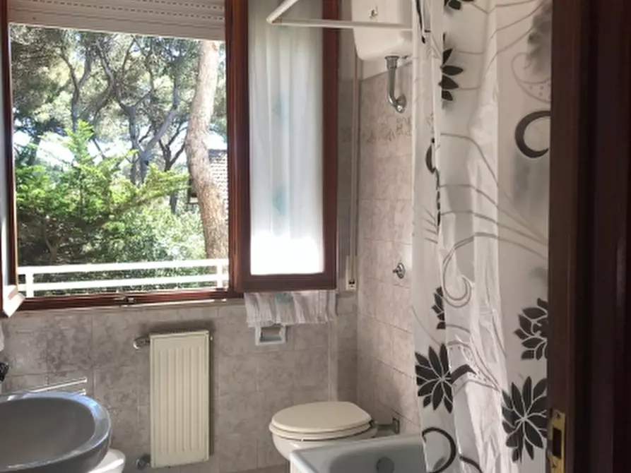 Immagine 13 di Appartamento in affitto  a Rosignano Marittimo