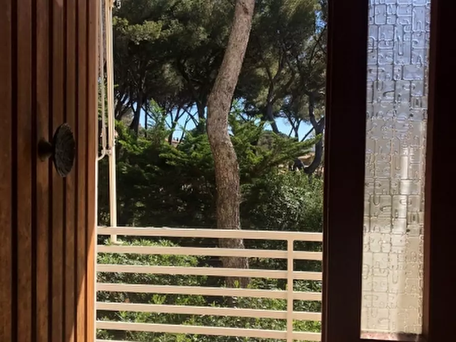 Immagine 2 di Appartamento in affitto  a Rosignano Marittimo