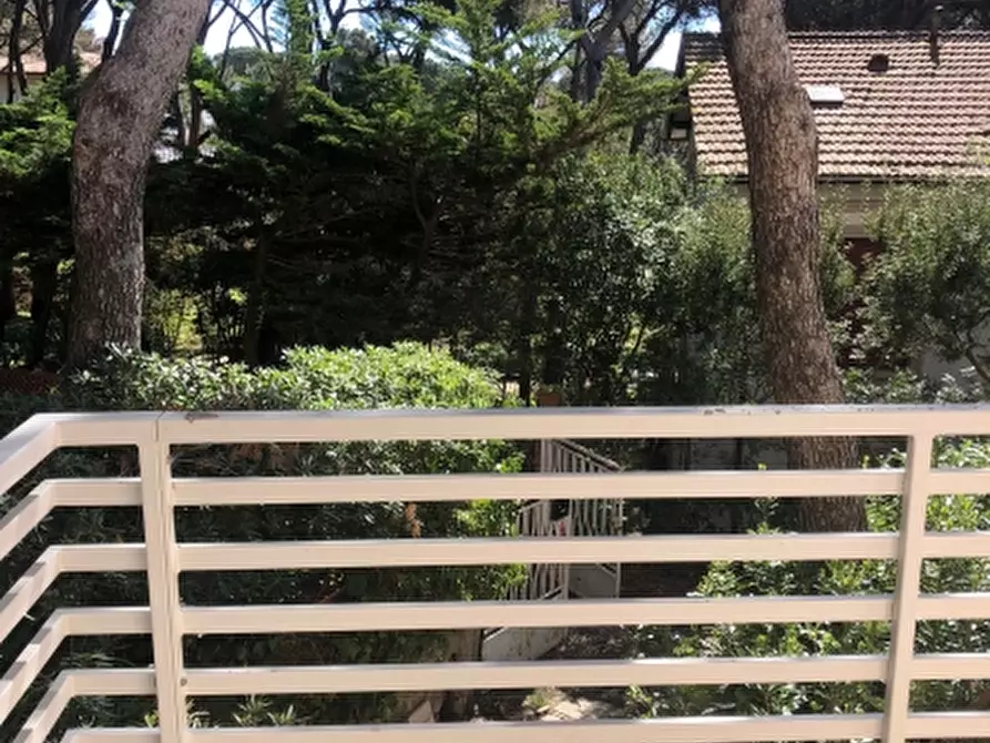 Immagine 5 di Appartamento in affitto  a Rosignano Marittimo