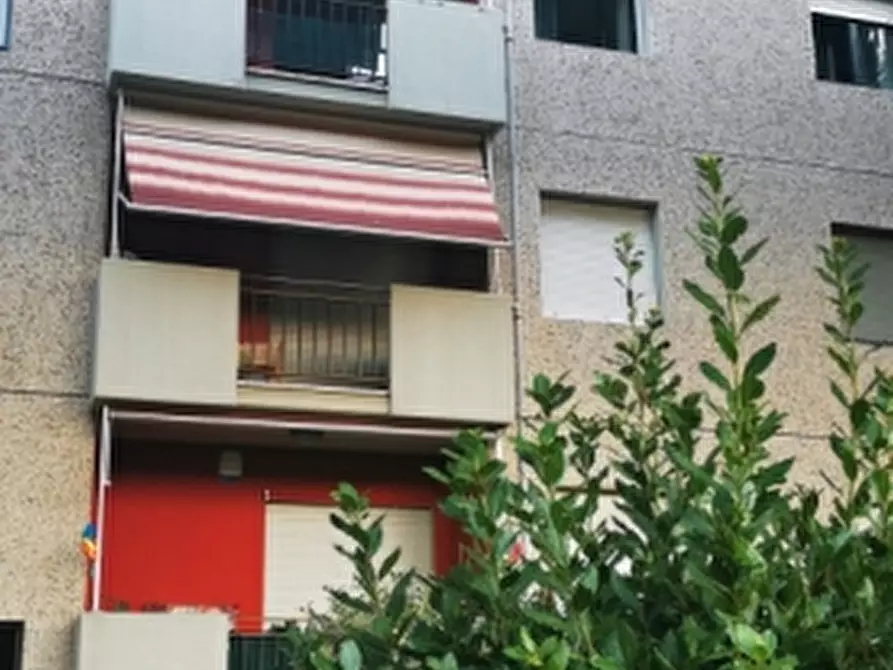 Immagine 19 di Appartamento in vendita  in via Champigny a Rosignano Marittimo