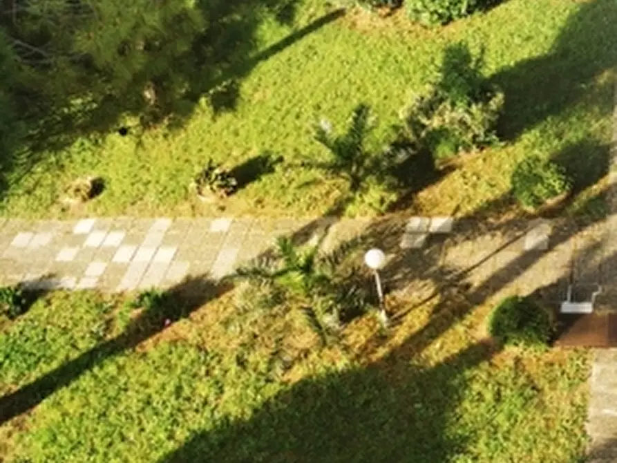 Immagine 3 di Appartamento in vendita  in via Champigny a Rosignano Marittimo