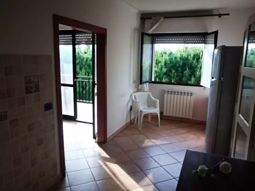 Immagine 8 di Appartamento in vendita  in via Champigny a Rosignano Marittimo