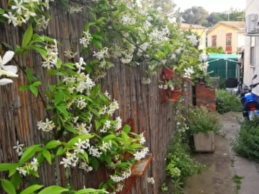 Immagine 13 di Appartamento in vendita  a Rosignano Marittimo