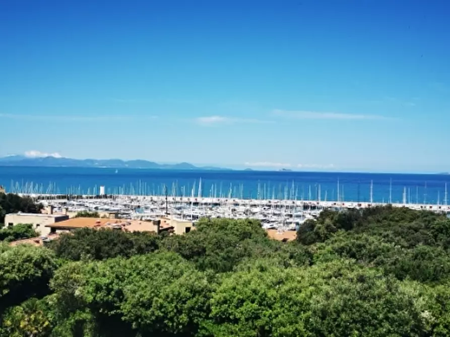 Immagine 1 di Casa vacanze in affitto  a Follonica