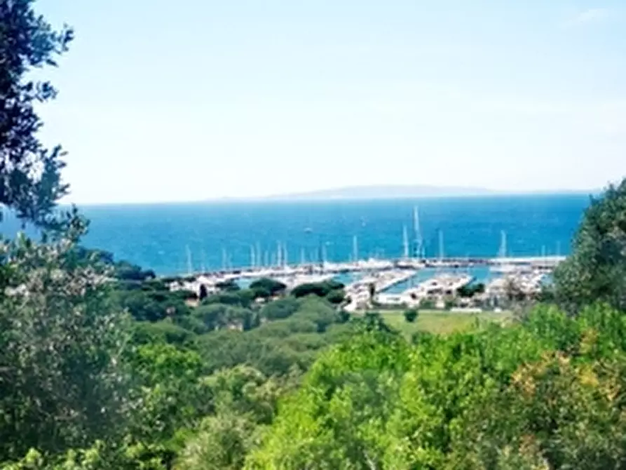 Immagine 16 di Casa vacanze in affitto  a Follonica