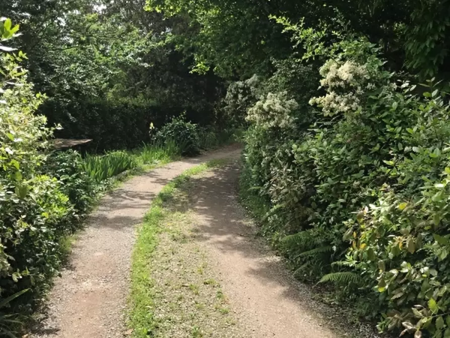 Immagine 2 di Agriturismo in vendita  in via valcanina a Sassetta