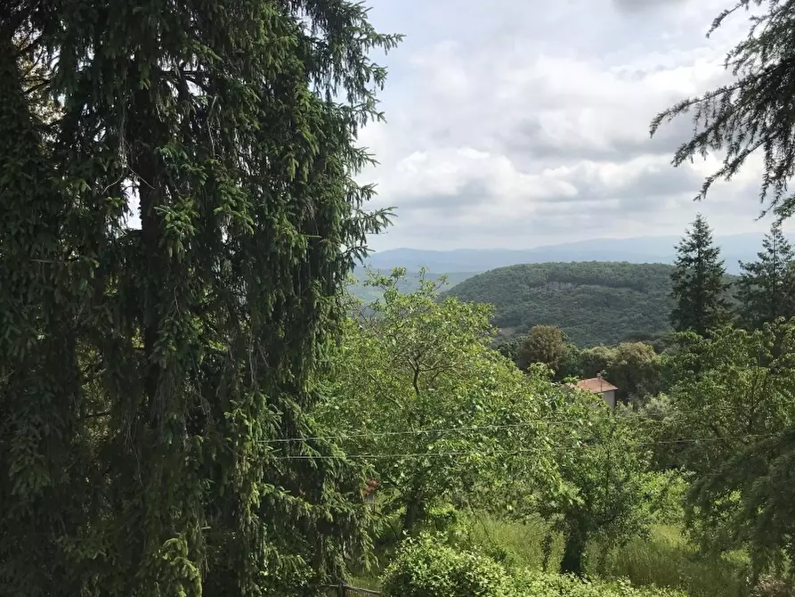 Immagine 4 di Agriturismo in vendita  in via valcanina a Sassetta