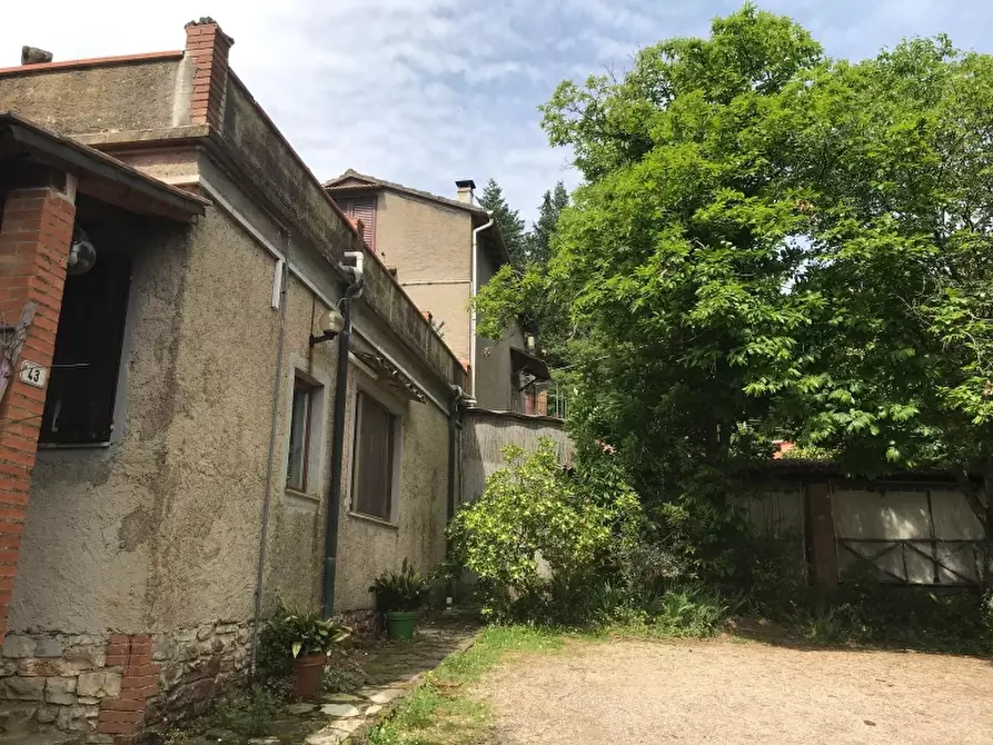 Immagine 5 di Agriturismo in vendita  in via valcanina a Sassetta