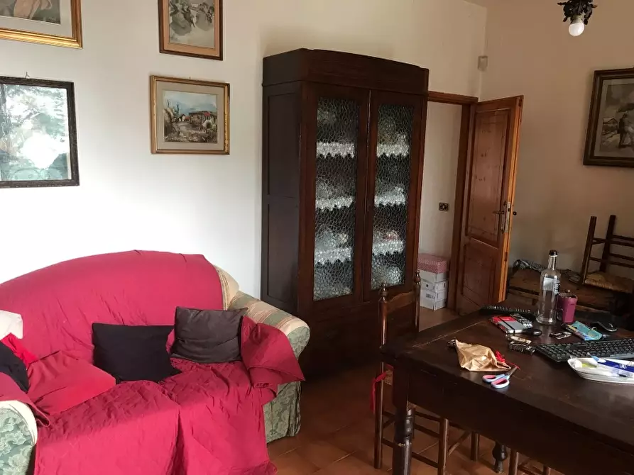 Immagine 6 di Agriturismo in vendita  in via valcanina a Sassetta