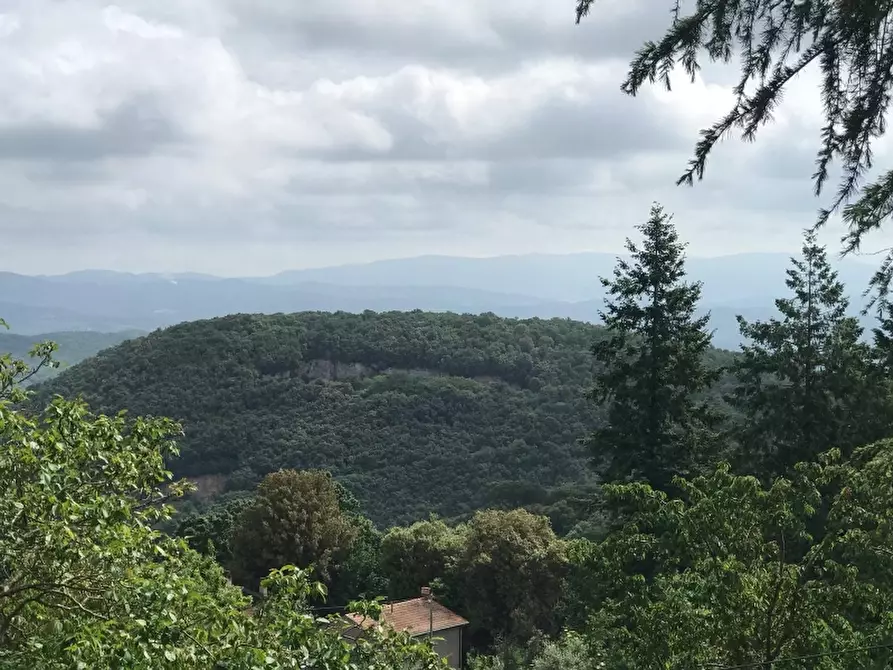 Immagine 7 di Agriturismo in vendita  in via valcanina a Sassetta