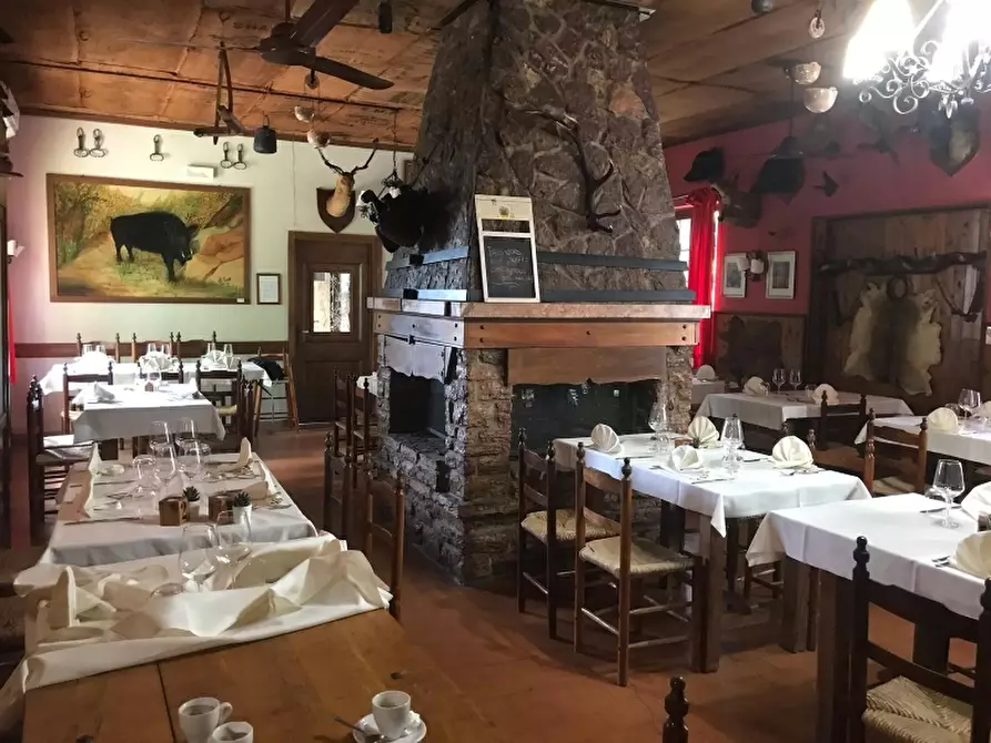 Immagine 8 di Agriturismo in vendita  in via valcanina a Sassetta