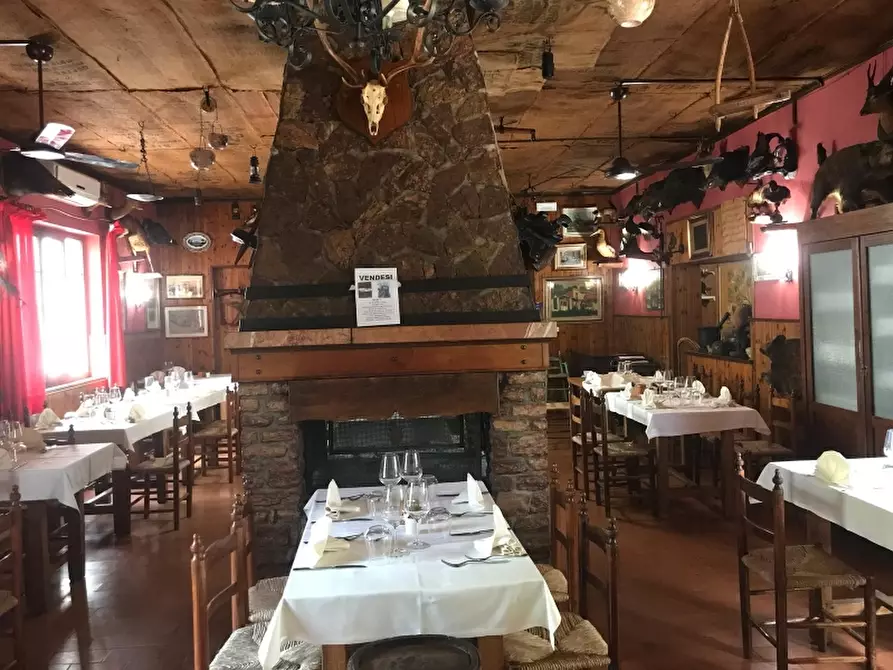 Immagine 10 di Agriturismo in vendita  in via valcanina a Sassetta