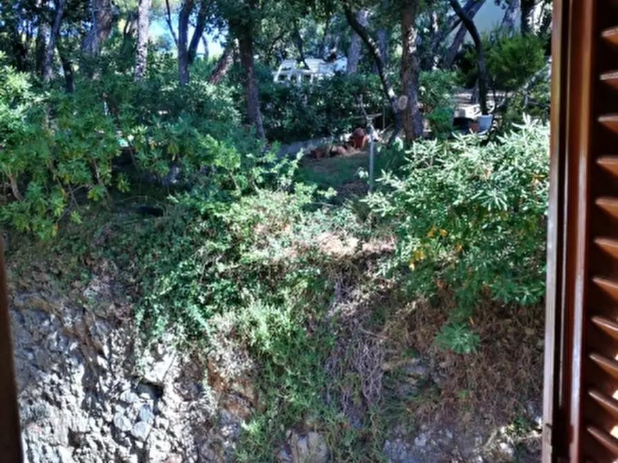 Immagine 3 di Appartamento in affitto  a Rosignano Marittimo