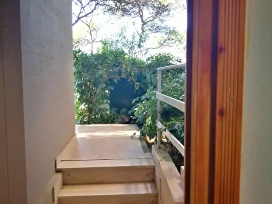 Immagine 4 di Appartamento in affitto  a Rosignano Marittimo