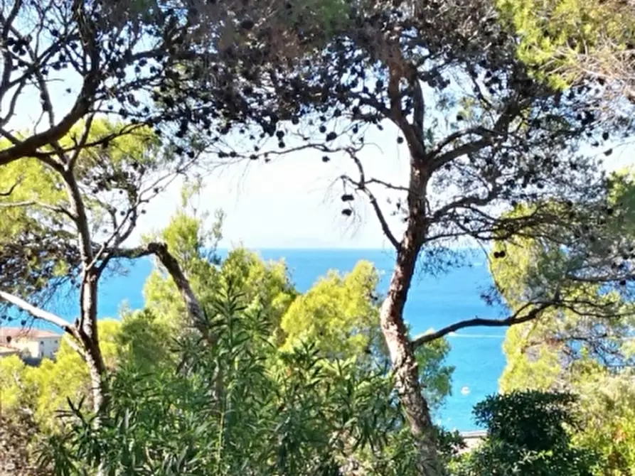 appartamento in affitto a Rosignano Marittimo in zona Castiglioncello