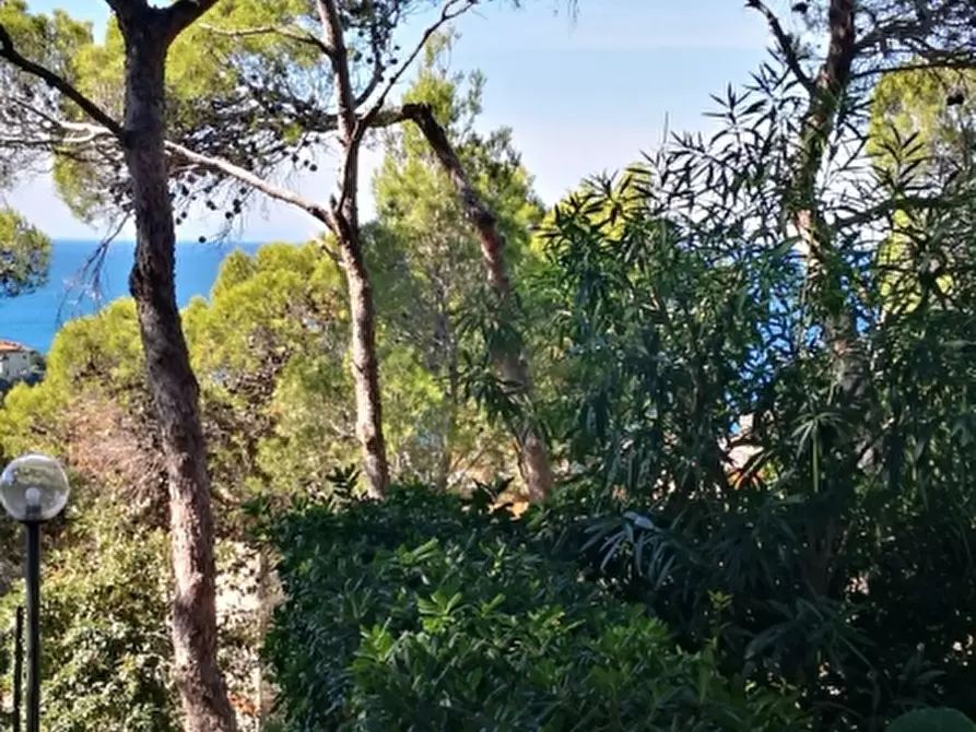 Immagine 5 di Appartamento in affitto  a Rosignano Marittimo