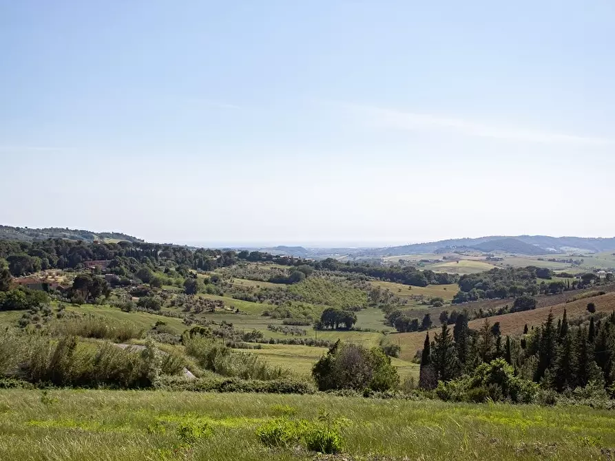 Immagine 3 di Terreno agricolo in vendita  a Rosignano Marittimo