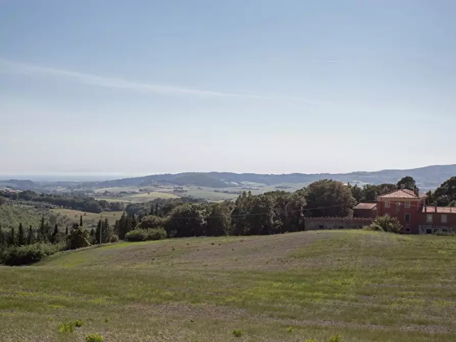 Immagine 4 di Terreno agricolo in vendita  a Rosignano Marittimo