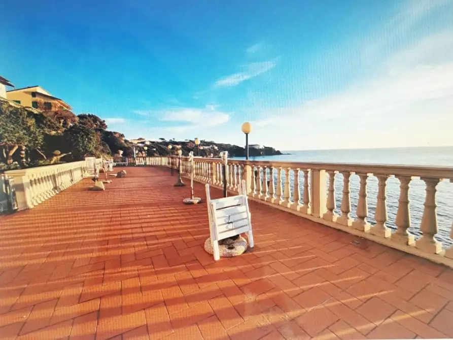 Immagine 15 di Appartamento in vendita  a Rosignano Marittimo