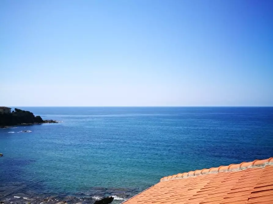 Immagine 3 di Appartamento in vendita  a Rosignano Marittimo