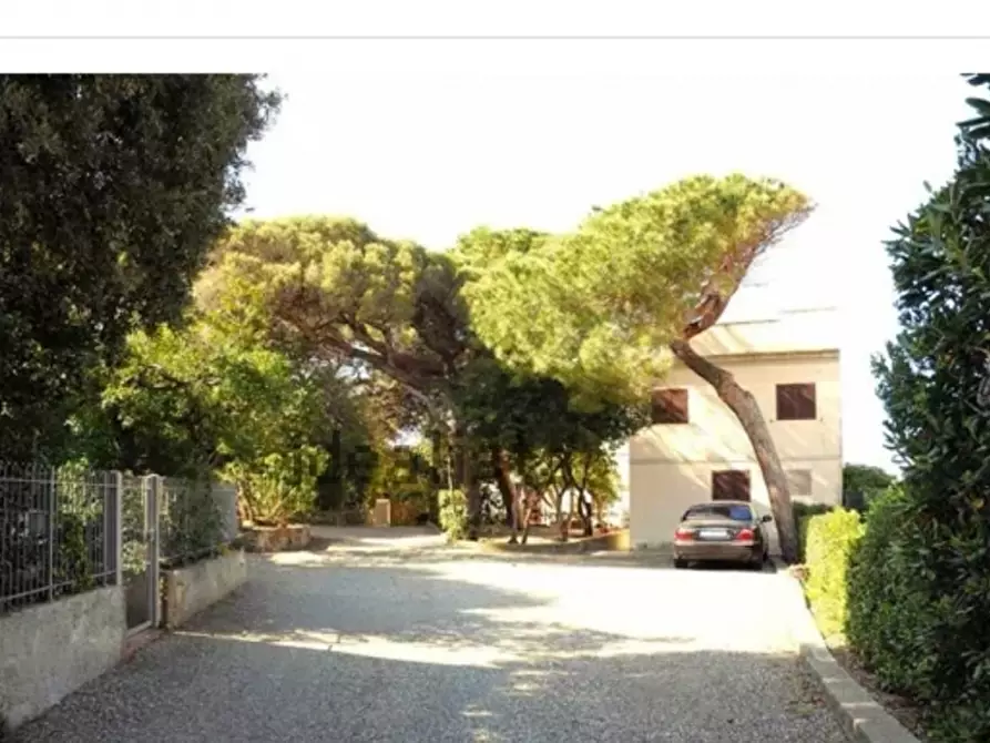 Immagine 7 di Appartamento in vendita  a Rosignano Marittimo