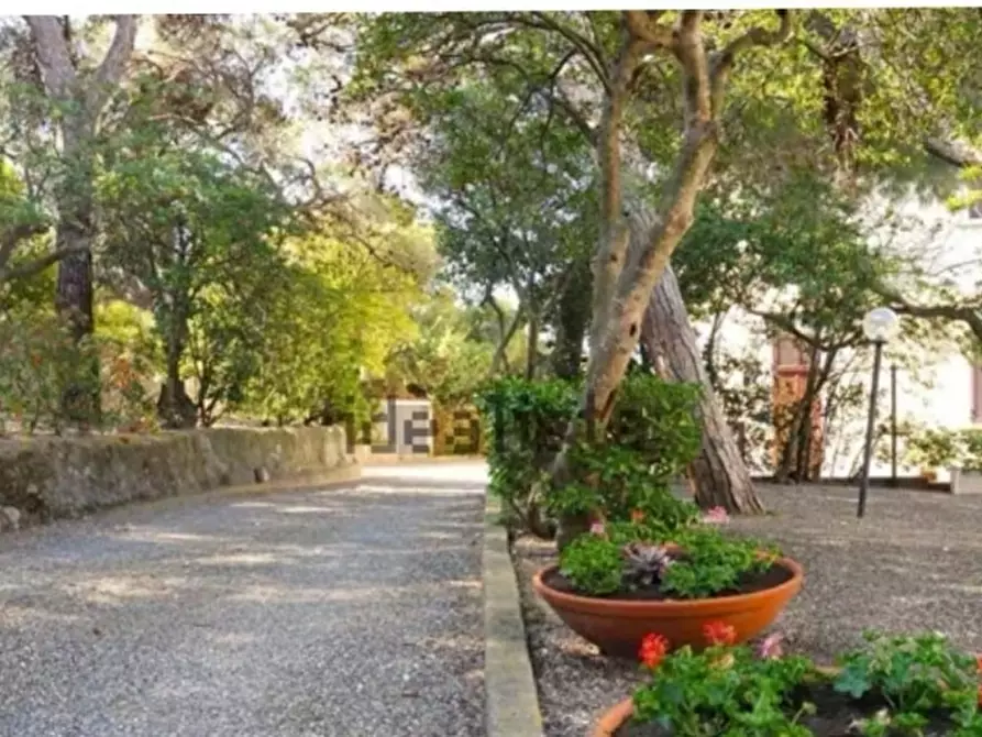 Immagine 1 di Appartamento in vendita  a Rosignano Marittimo