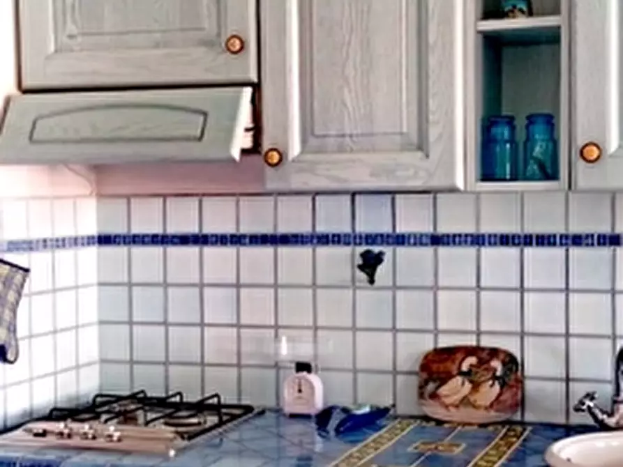 Immagine 11 di Appartamento in affitto  a Rosignano Marittimo