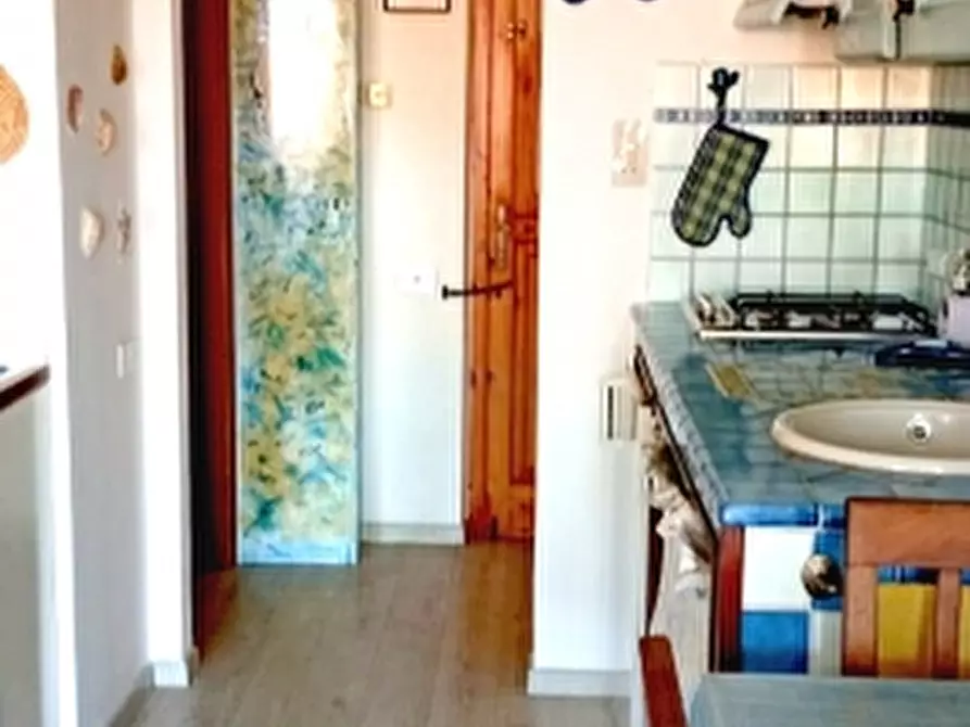 Immagine 16 di Appartamento in affitto  a Rosignano Marittimo