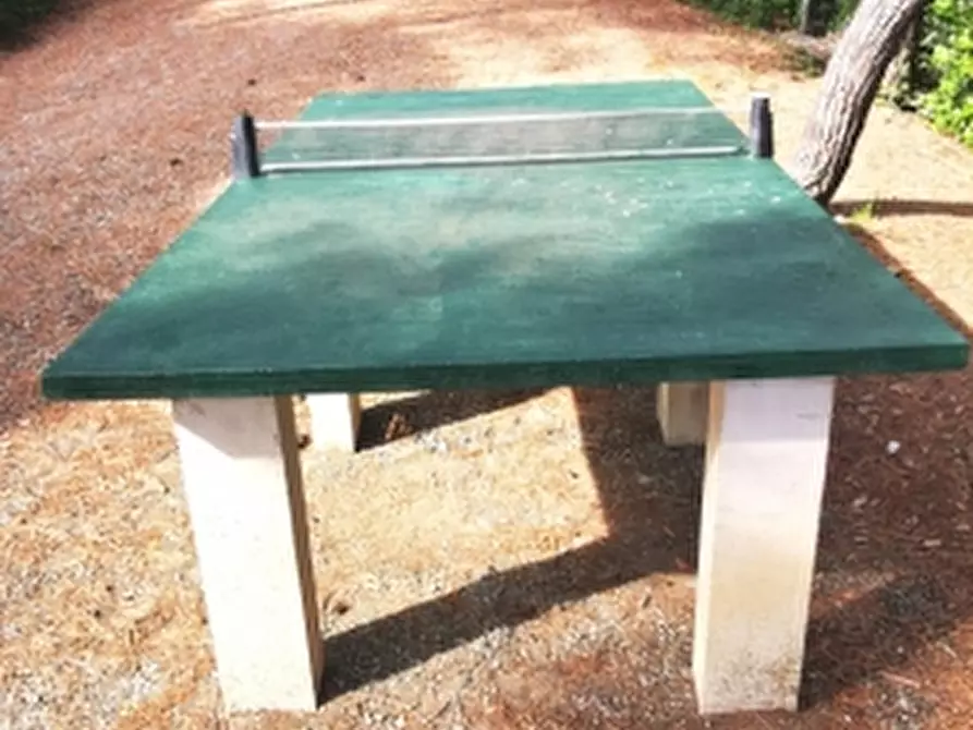 Immagine 18 di Appartamento in affitto  a Rosignano Marittimo