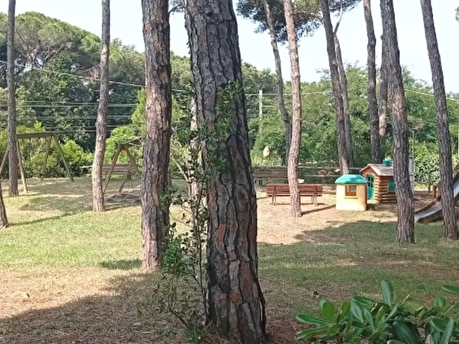 Immagine 4 di Appartamento in affitto  a Rosignano Marittimo