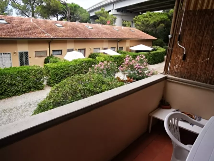 Immagine 5 di Appartamento in affitto  a Rosignano Marittimo