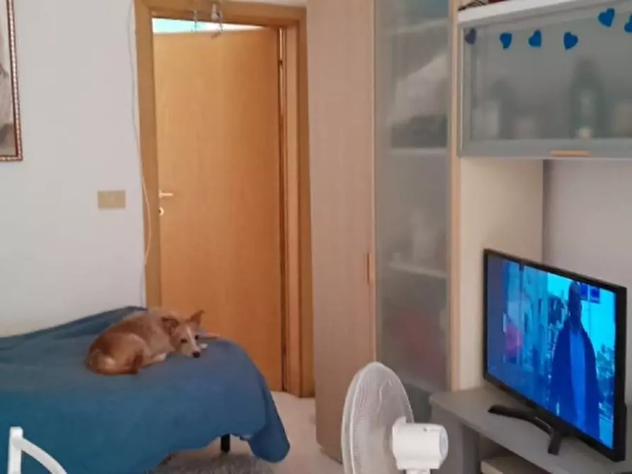 Immagine 2 di Appartamento in vendita  a Livorno