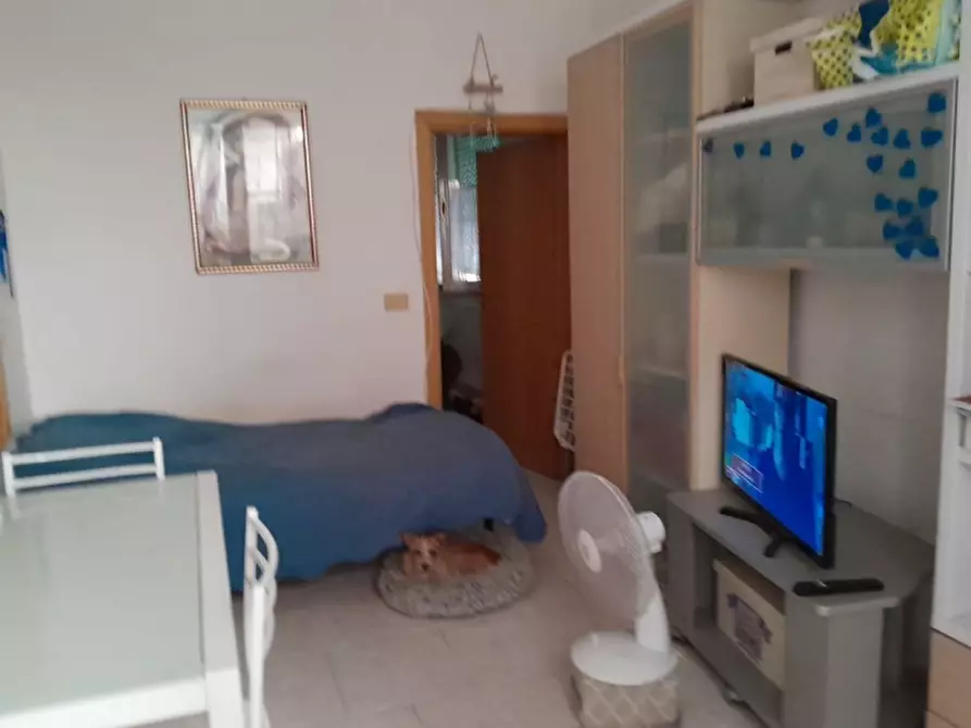 Immagine 3 di Appartamento in vendita  a Livorno